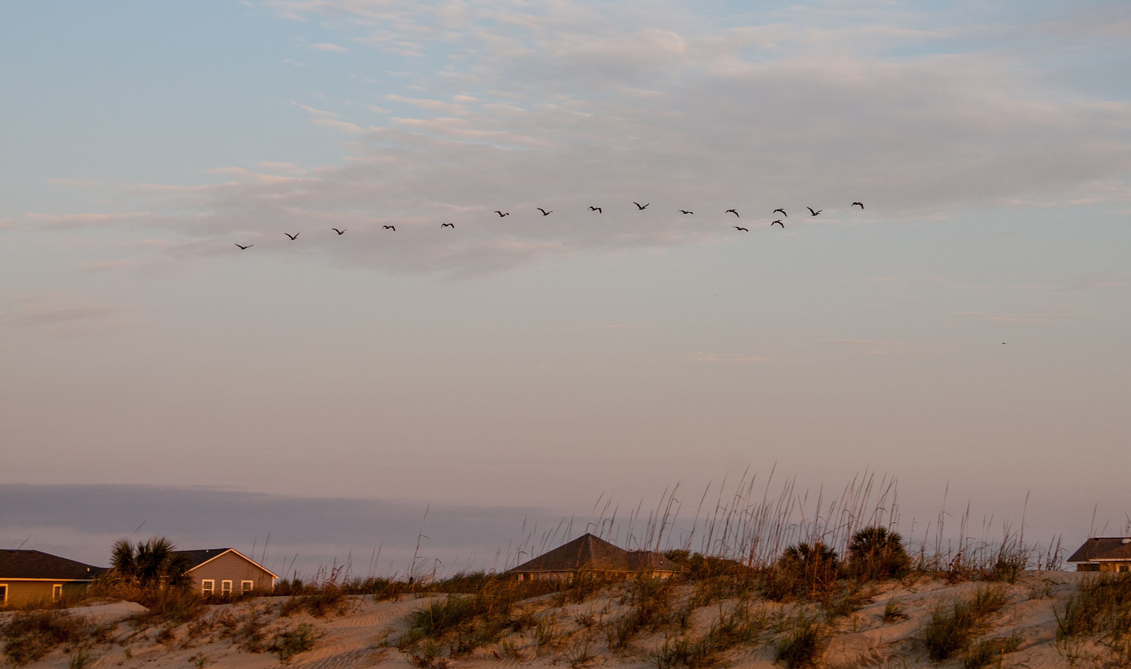 isle of palms_header