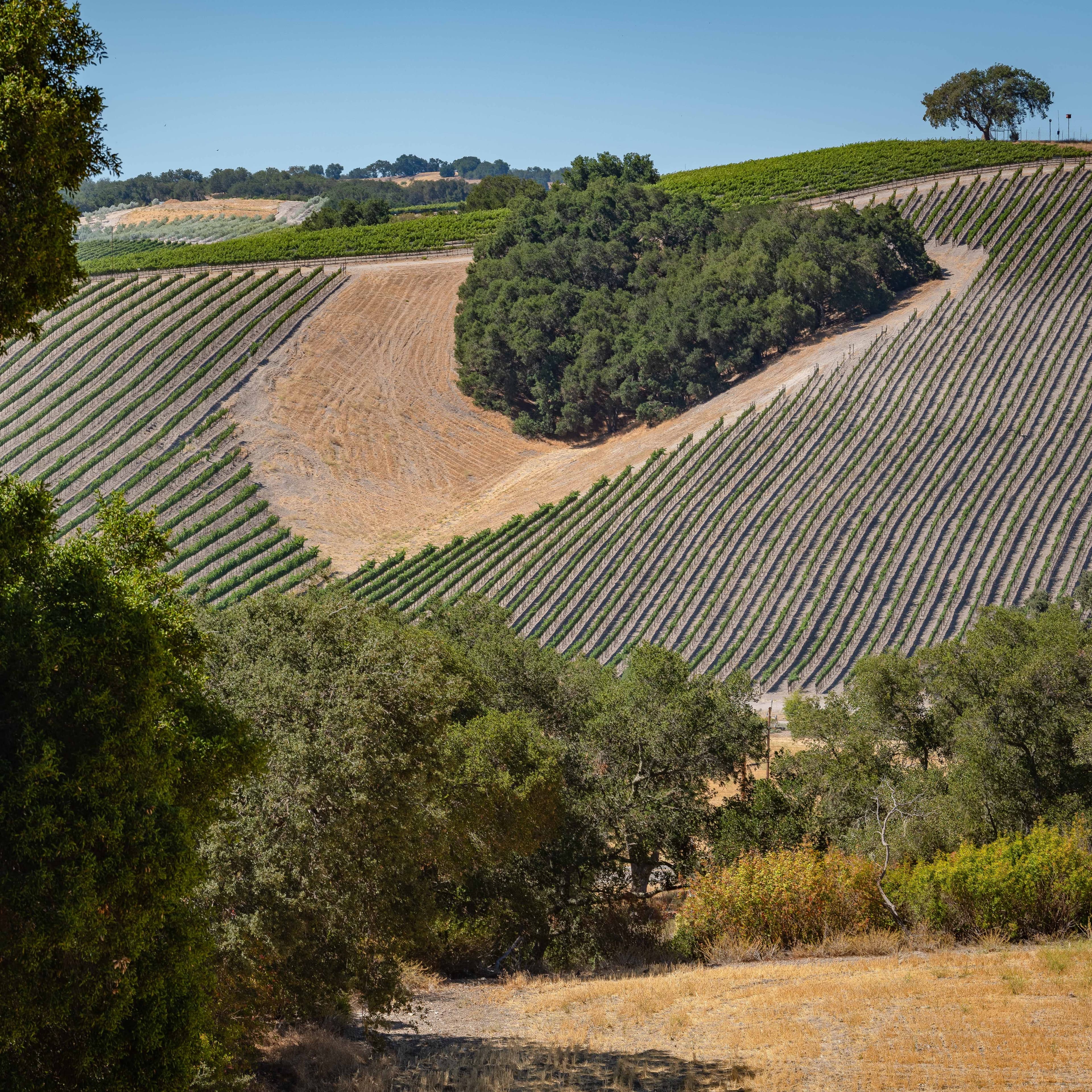 Heartview Cottage Home